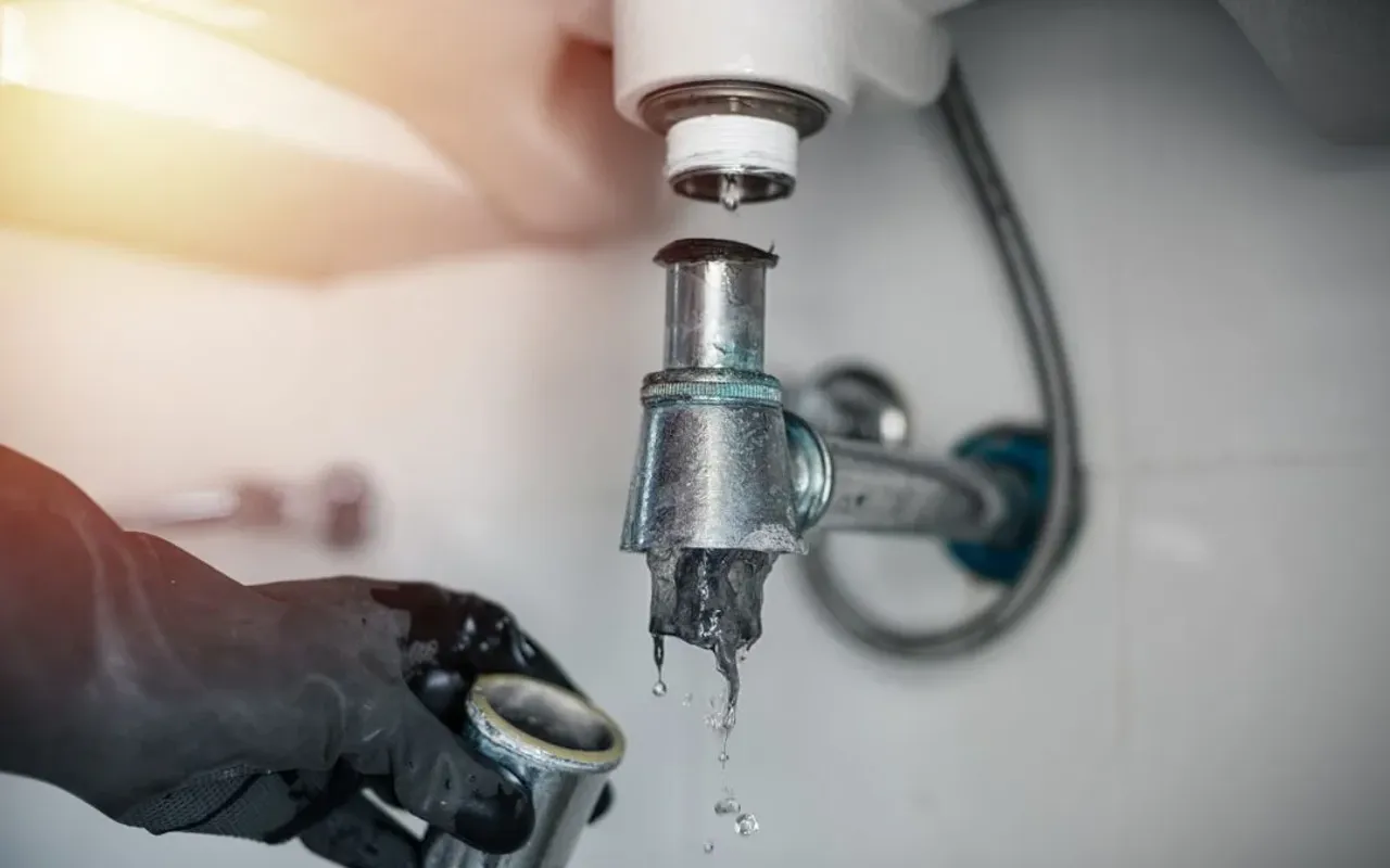 Plumber removing a sink P-trap packed with drain sludge